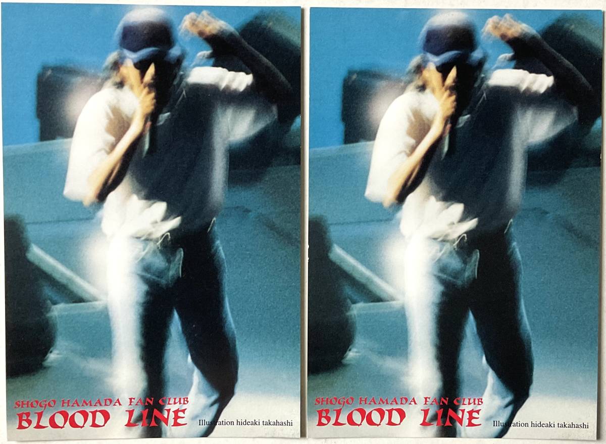 Shogo Hamada Fan Club Blood Line Sticker Postcard 2 листы не продаются