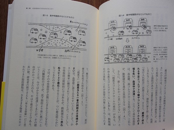 &*[NHK поэтому делать ga тонн ... нет . диета новейший версия ]* север . один : работа * Media Factory :.*