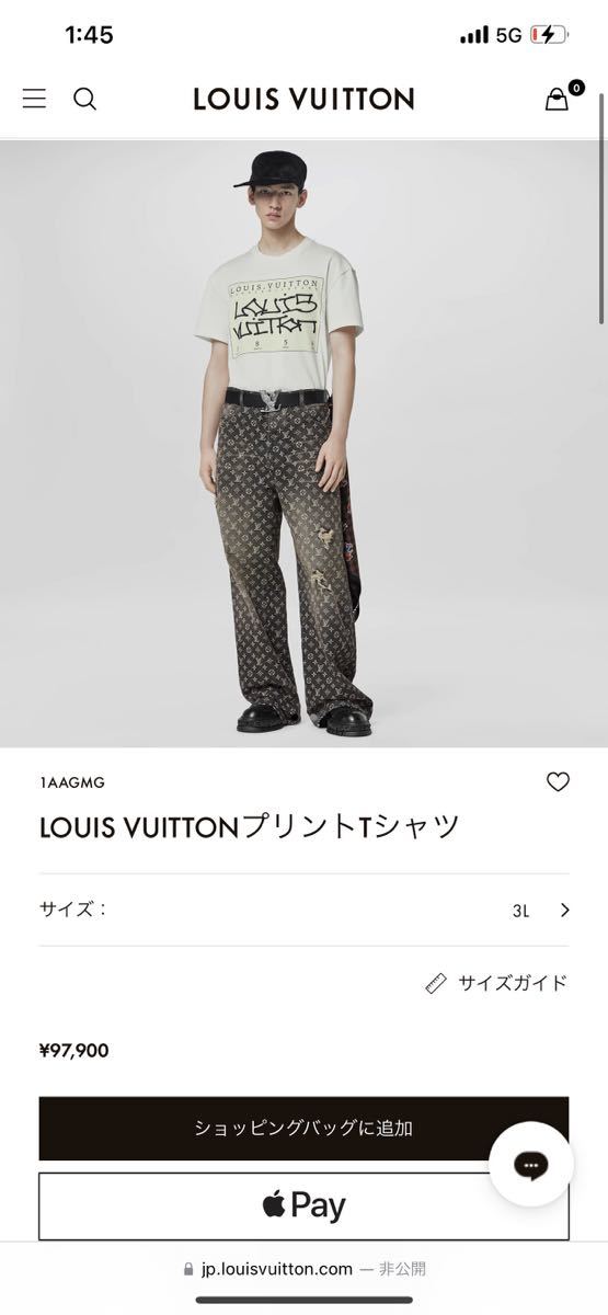 LOUIS VUITTON Tシャツ 朝倉未来選手着用モデル - ブランド別