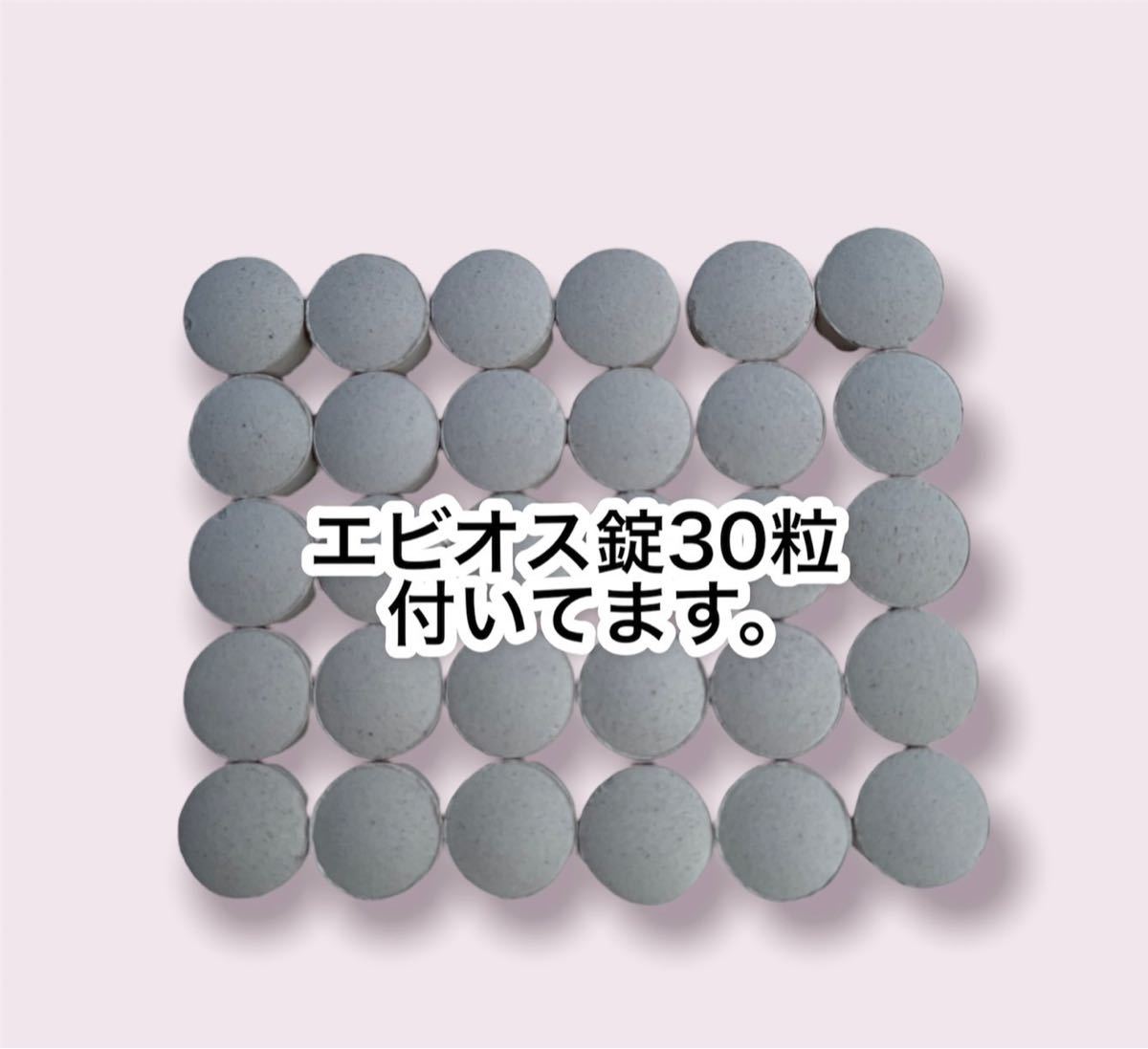 光合成細菌   PSB  エビオス錠   ゾウリムシ  タマミジンコ めだか  針子 培養   エサ  