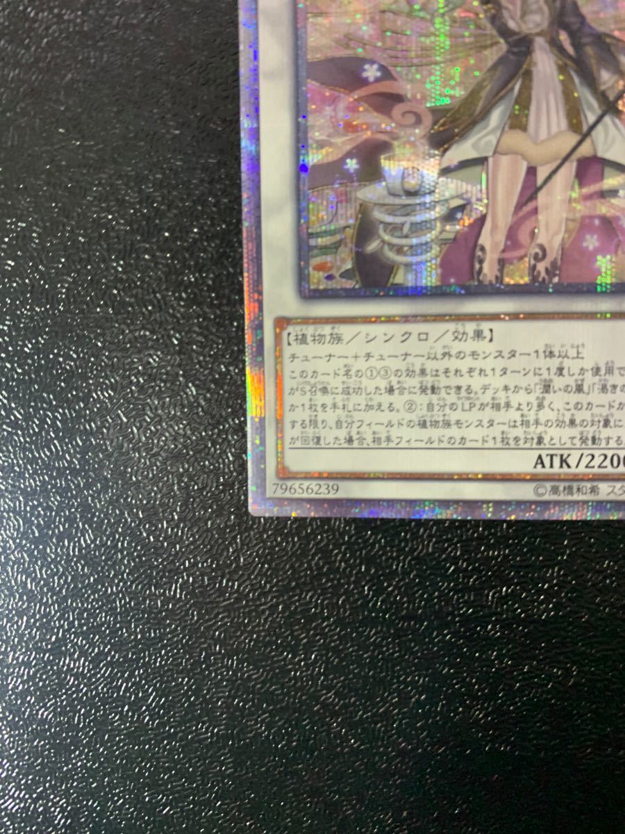アロマセラフィースイートマジェラム 20thシークレットレア 遊戯王-