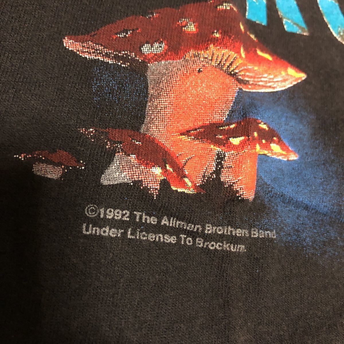 90's The Allman Brothers Band 1992 T-Shirt_画像3