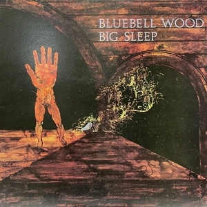 【新宿ALTA】BIG SLEEP (ROCK)/BLUEBELL WOOD(PEG4)