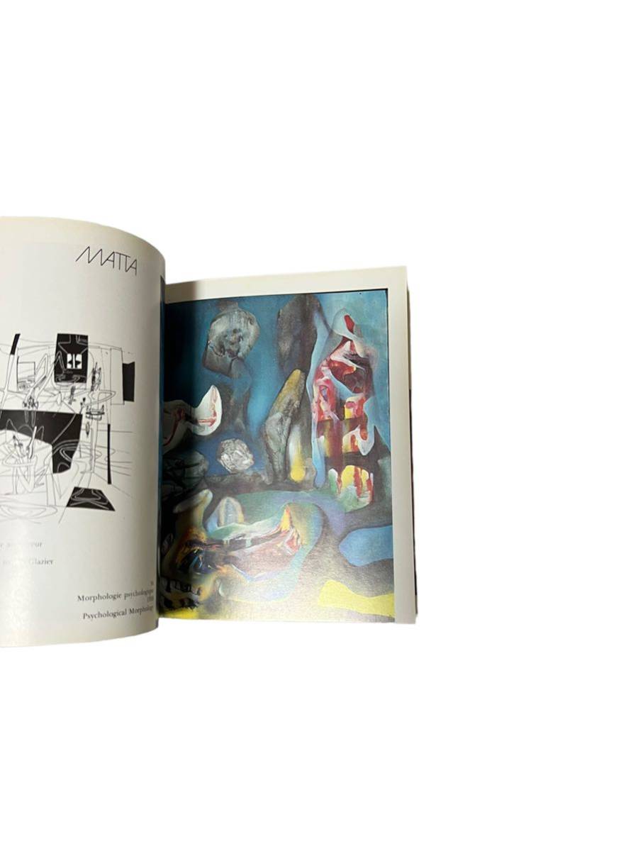 【SURREALISM】シューレアリスム　Jose Pierie 画集洋書　Man Ray Salvador Dali Hans Bellmer Rene Magritte Yves Tanguy Marcel Duchamp_画像8