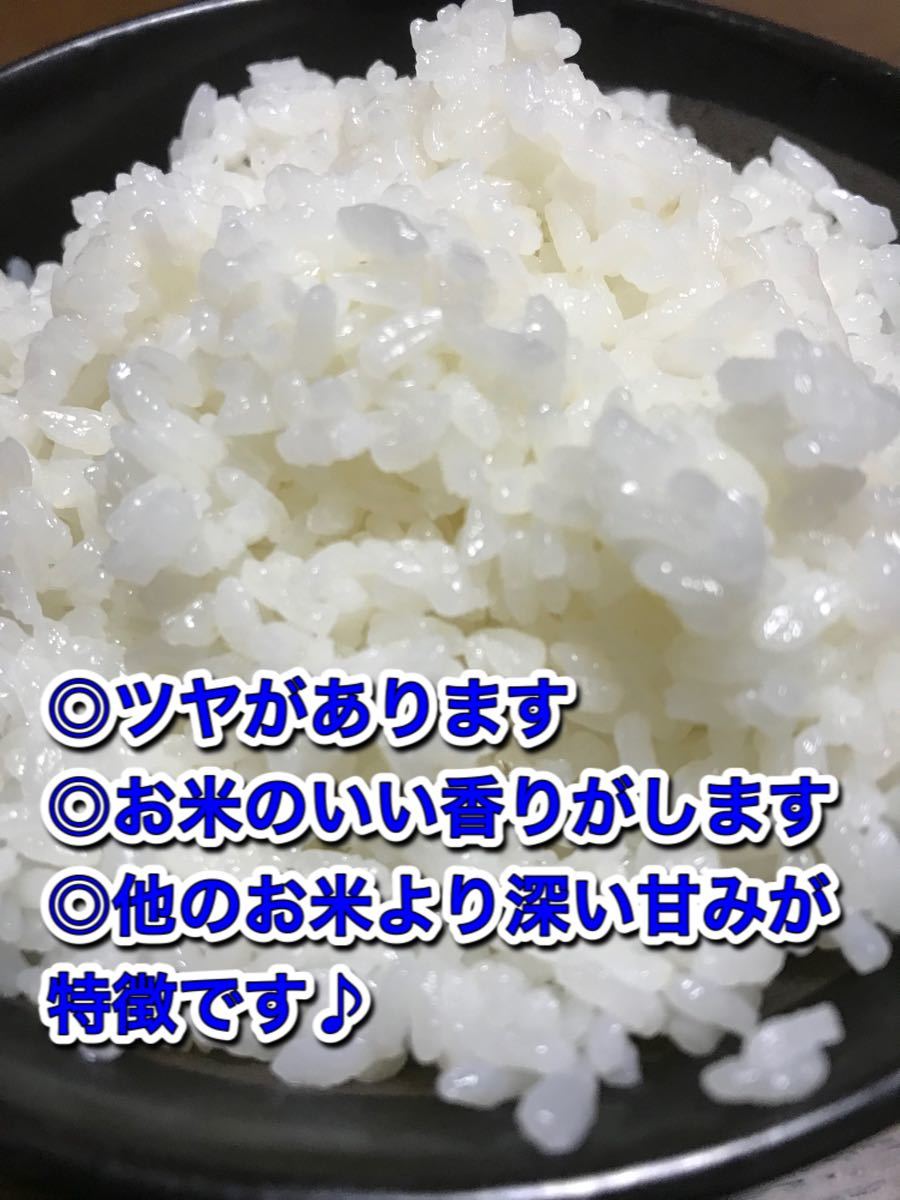 もち米 20kg 令和4年差 減農薬 限定特価 新米