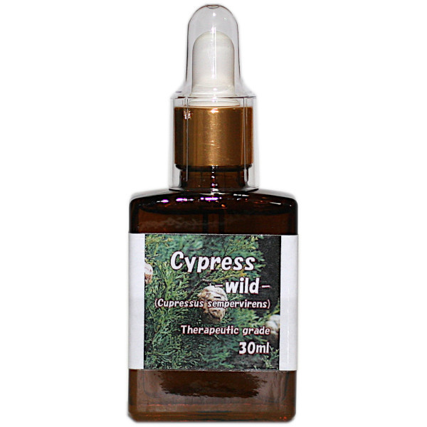 30ml サイプレス フランス ワイルド 精油 エッセンシャルオイル Cupressus sempervirens 100%天然 送185 同梱可_画像1