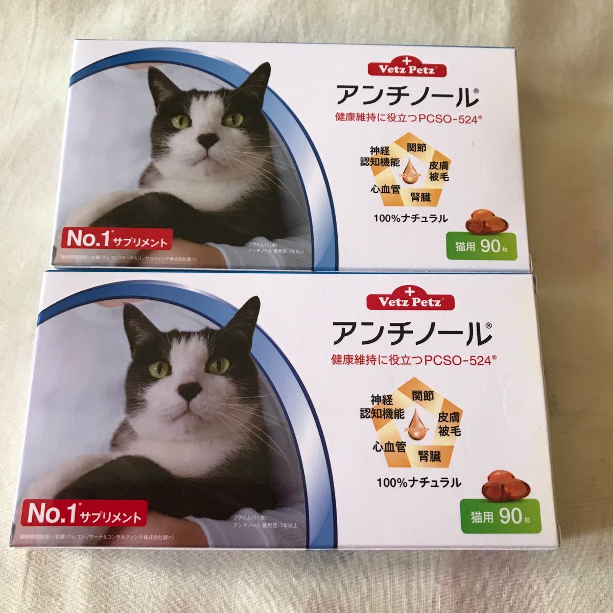 アンチノール 猫用2箱おまとめ-