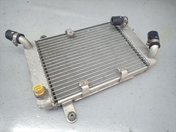 βBE29-1 Suzuki SKY WAVE 250 CJ42A (H13 year ) animation have original radiator water leak less! core becoming useless have! length some 33cm width some 20cm thickness approximately 4cm