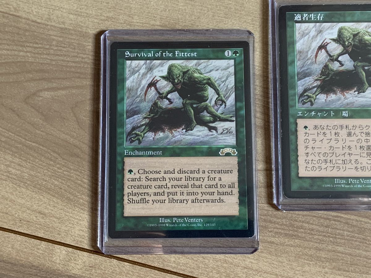 MTG 適者生存/Survival of the Fittest 3枚 エクソダス 絶版 再録禁止