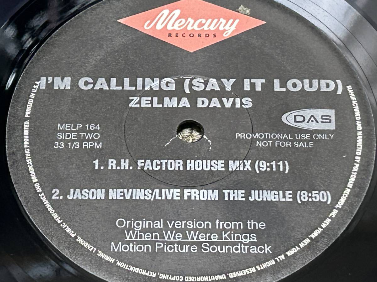 Zelma Davis I'm Calling (Say It Loud) 1997年_画像6