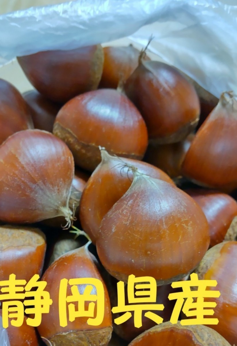 栗 1,5キロ N2CJNAXWGx - godawaripowerispat.com