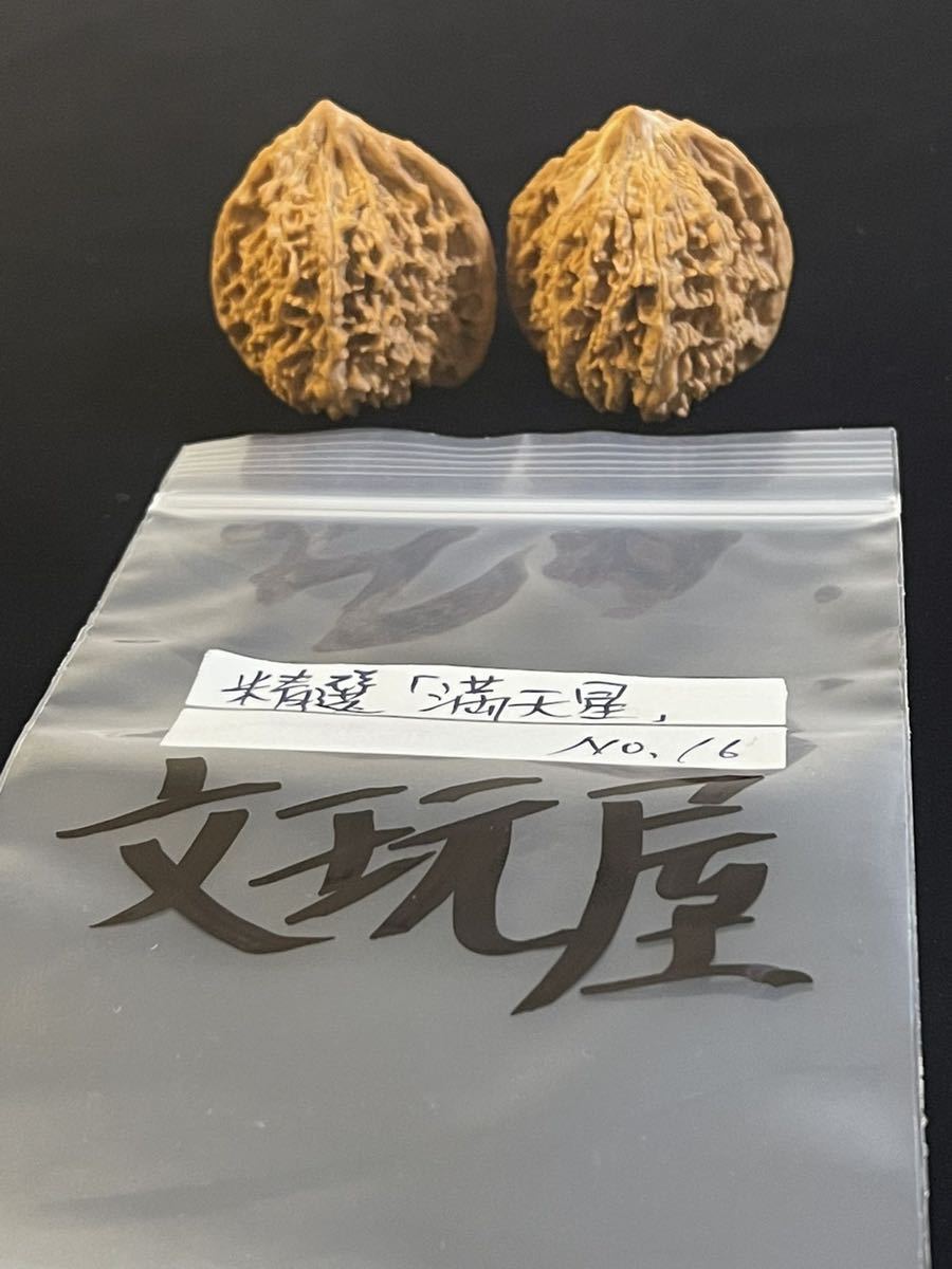 遊び胡桃 精選品 満天星No 16 くるみ 趣味 コレクション|Yahoo!フリマ