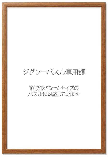 【光るパズル】1000ピース！スターライトシンガポール + 専用パネル（額）セット 50×75cm ジグソーパズル アップルワン ライトブラウン