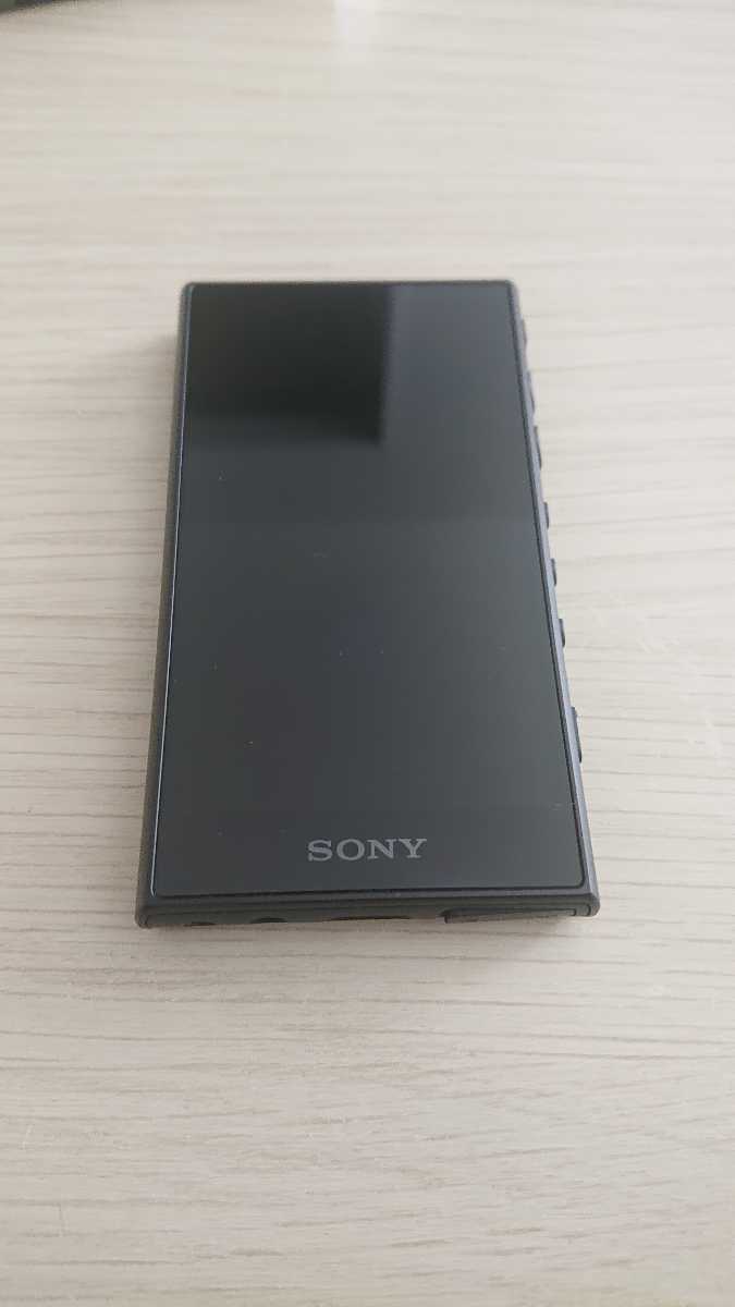 SONY NW-A105 美品 SDカード付 | ciavolinointernational.com