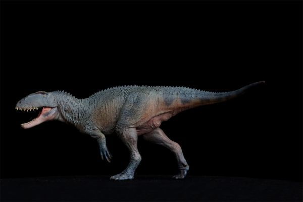 PNSO 成長シリーズ 62 シンラプトル 恐竜 動物 フィギュアおもちゃ 模型 リアル PVC 恐竜好き 誕生日 プレゼント 21.6cm級_画像4
