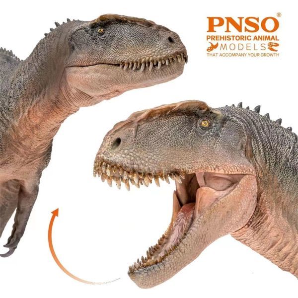 PNSO 成長シリーズ 62 シンラプトル 恐竜 動物 フィギュアおもちゃ 模型 リアル PVC 恐竜好き 誕生日 プレゼント 21.6cm級_画像8
