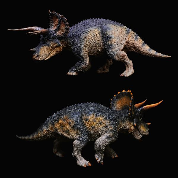 Rebor 1/35 サイズ トリケラトプス プラモデル 大きい 恐竜 リアル フィギュア PVC 大人 おもちゃ 動物 模型 プレゼント King_画像10