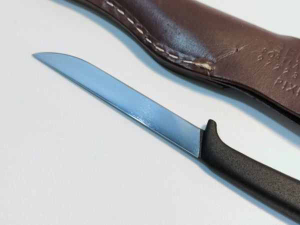 GERBER PIXIE ピクシー シースナイフ - www.dreamsmilesdental.com.au