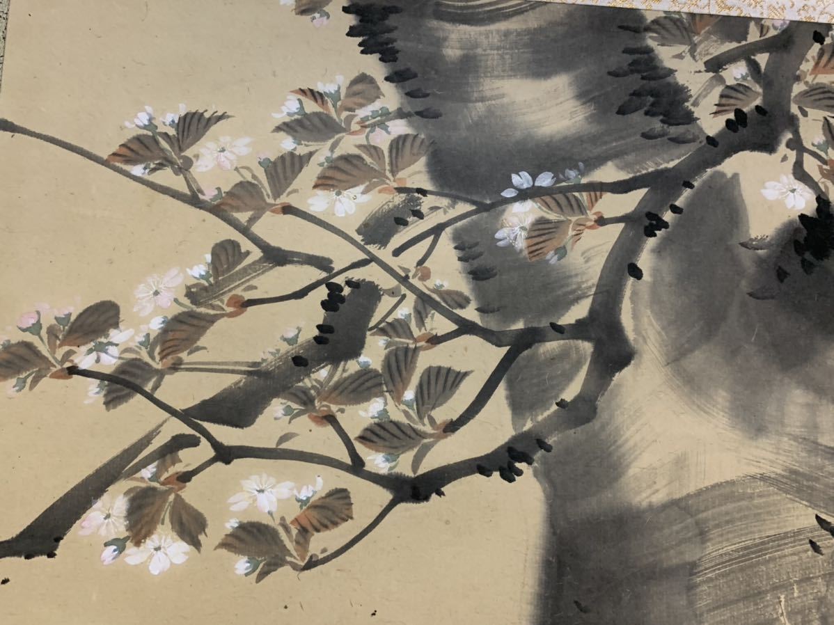 [ copy ]( camphor tree 07). mountain Zaimei Sakura . hanging scroll Japanese picture also box approximately 200×77.