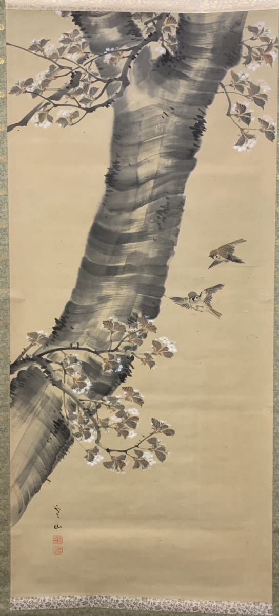 [ copy ]( camphor tree 07). mountain Zaimei Sakura . hanging scroll Japanese picture also box approximately 200×77.