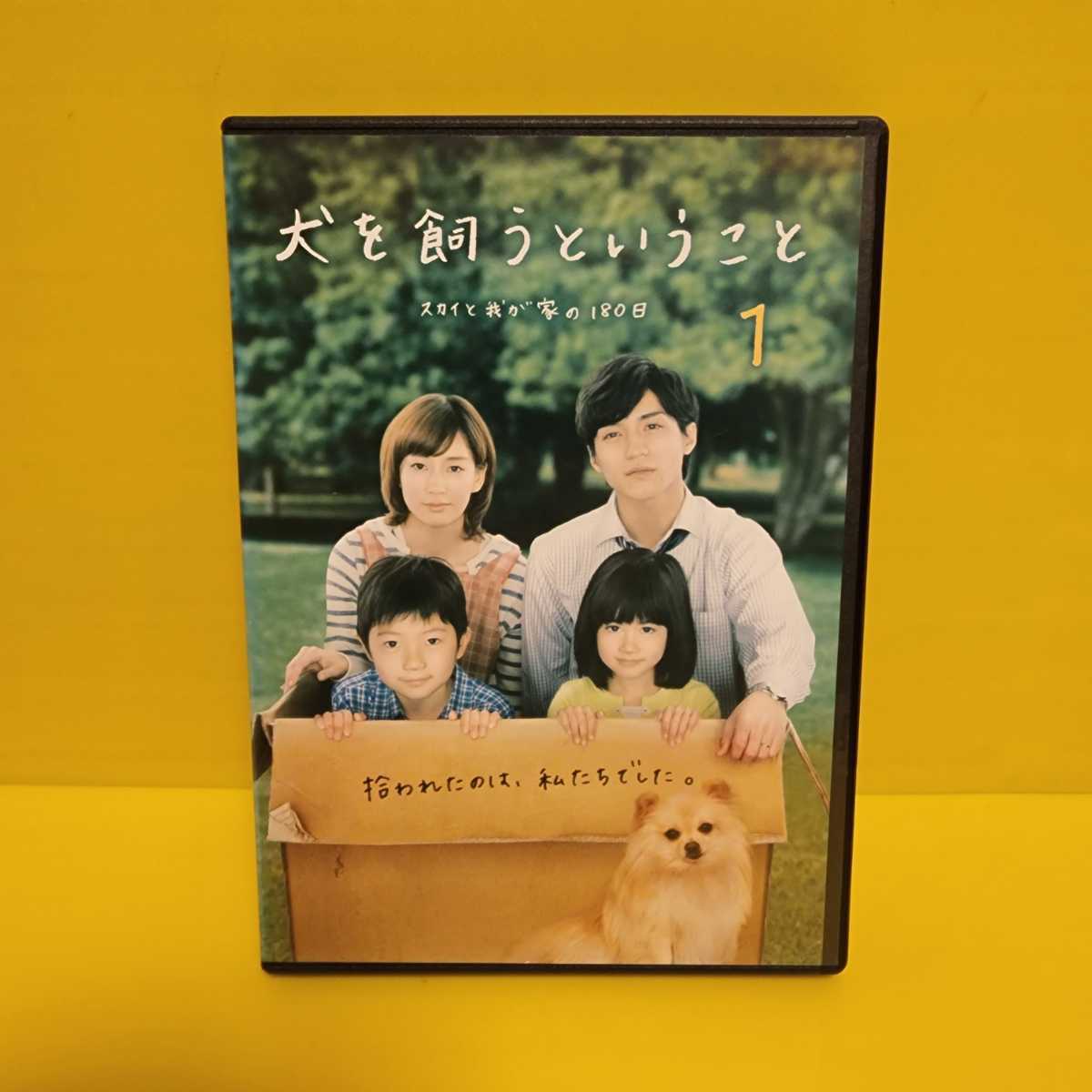 「犬を飼うということ～スカイと我が家の180日～ DVD〈5枚組〉」錦戸亮 / 水川あさみ / 寺田敏雄_画像1