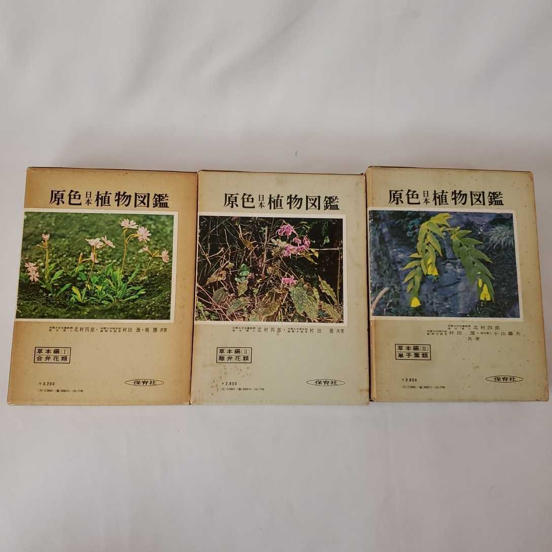 . color Japan plant illustrated reference book Hoikusha plant illustrated reference book .book@ compilation on middle under north . four .. rice field source 