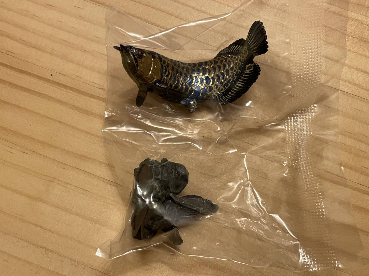 いきもの大図鑑ミニコレクション 古代魚 アジアアロワナ 藍底過背金龍(生き物)|売買されたオークション情報、yahooの商品情報をアーカイブ公開 - オークファン(aucfan.com) いきもの大図鑑ミニコレクション 古代魚 アジアアロワナ 藍底過背金龍(生き物)|売買されたオークション情報、yahooの商品情報をアーカイブ公開 - オークファン(aucfan.com)