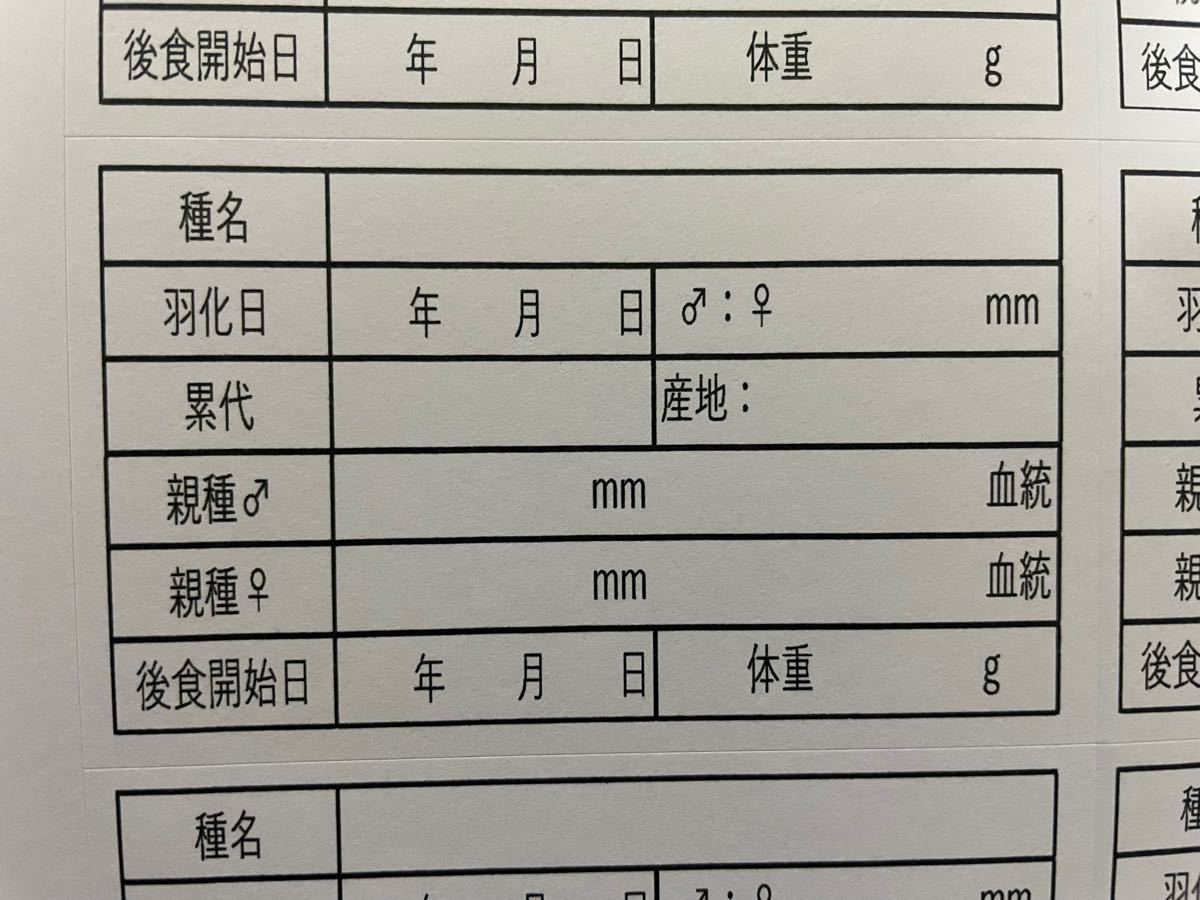 【匿名&24時間以内配送】幼虫管理ラベルシール　10枚セット