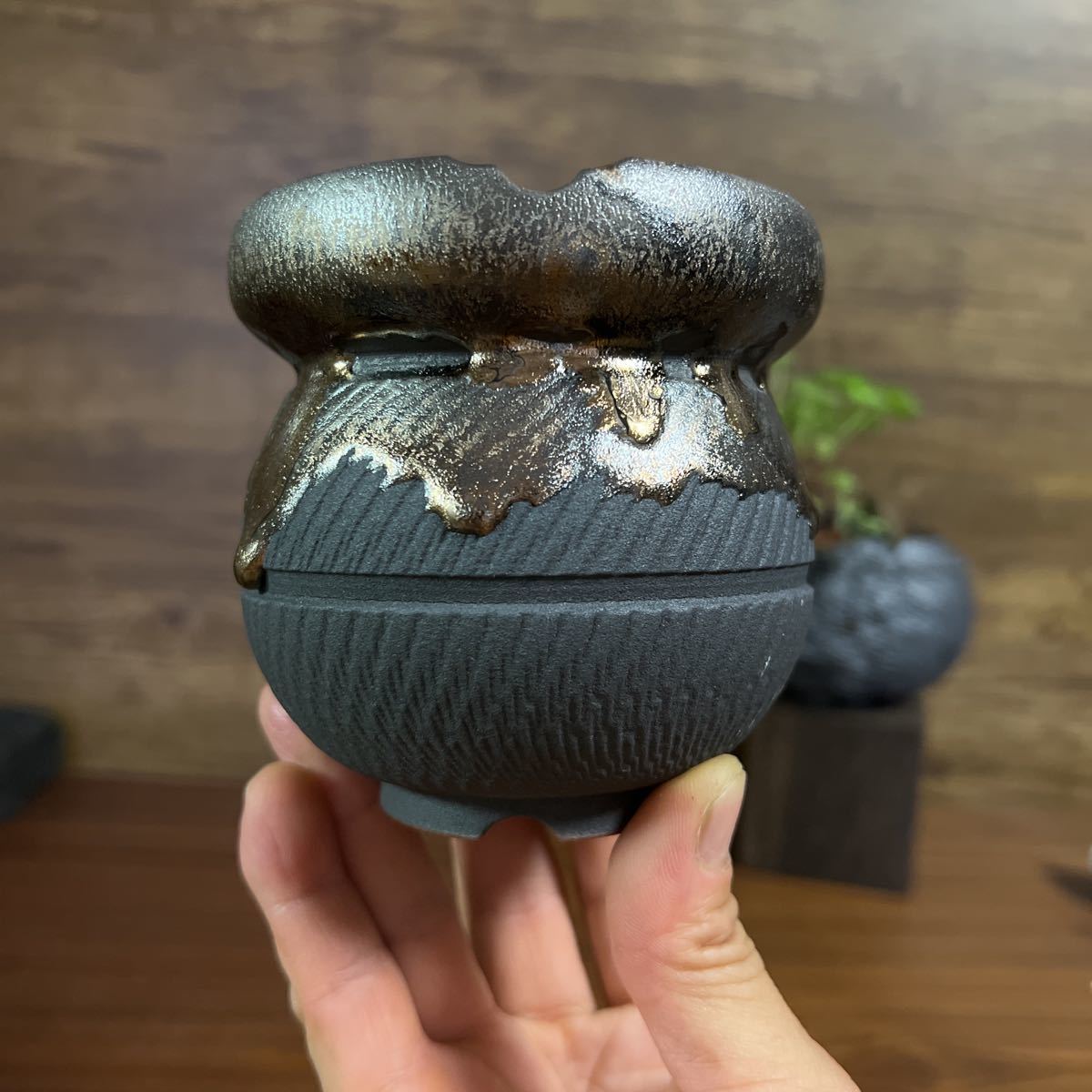 手作り 植木鉢 Lサイズ 素八九 陶器製品 塊根植物パキポディウム