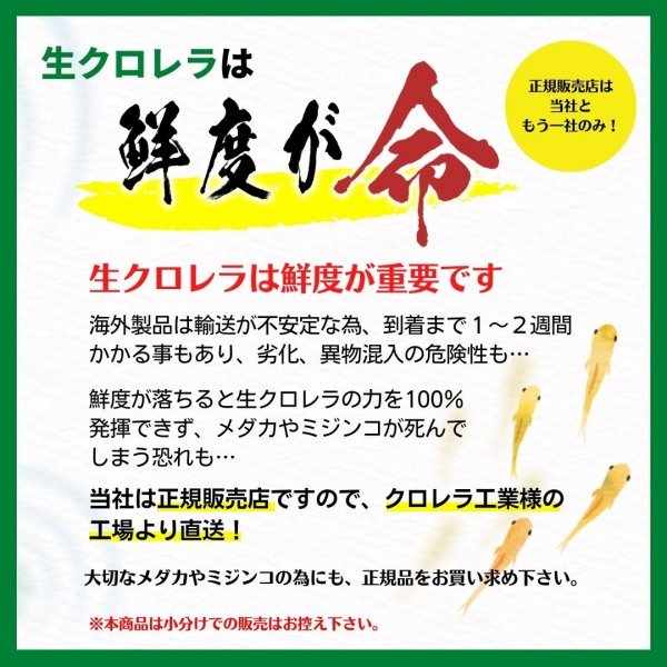クロレラ工業】生クロレラ V12 10L【工場直送 他商品と同梱】メダカ