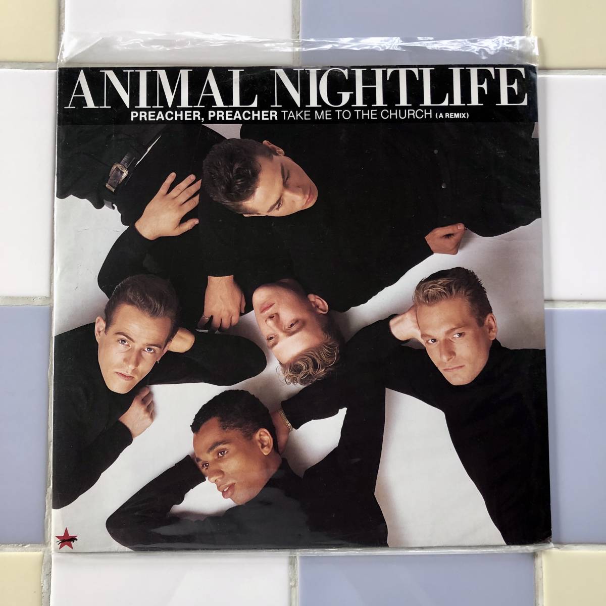 Animal Nightlife / Preacher, Preacher Take Me To The Church (A REMIX) / NATIVE BOY '83 / BETTER SWEET /12inch _画像1