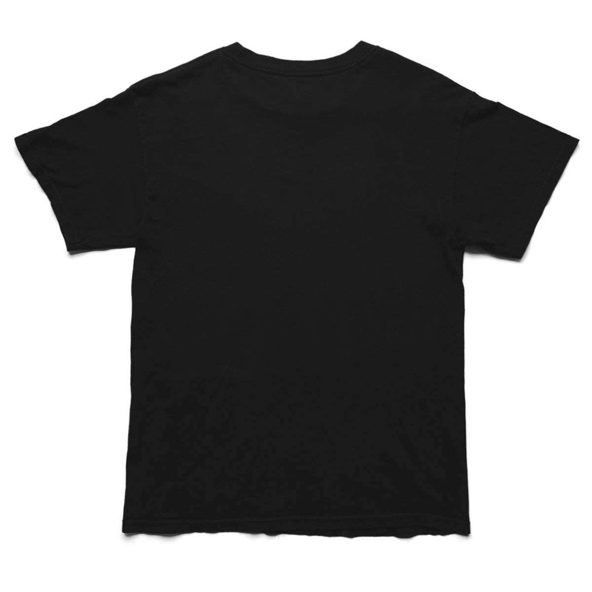 野村訓市着用|Reservoir Dogs Work Tシャツ(00年代 野村訓市着用|Reservoir Dogs Work Tシャツ(00年代