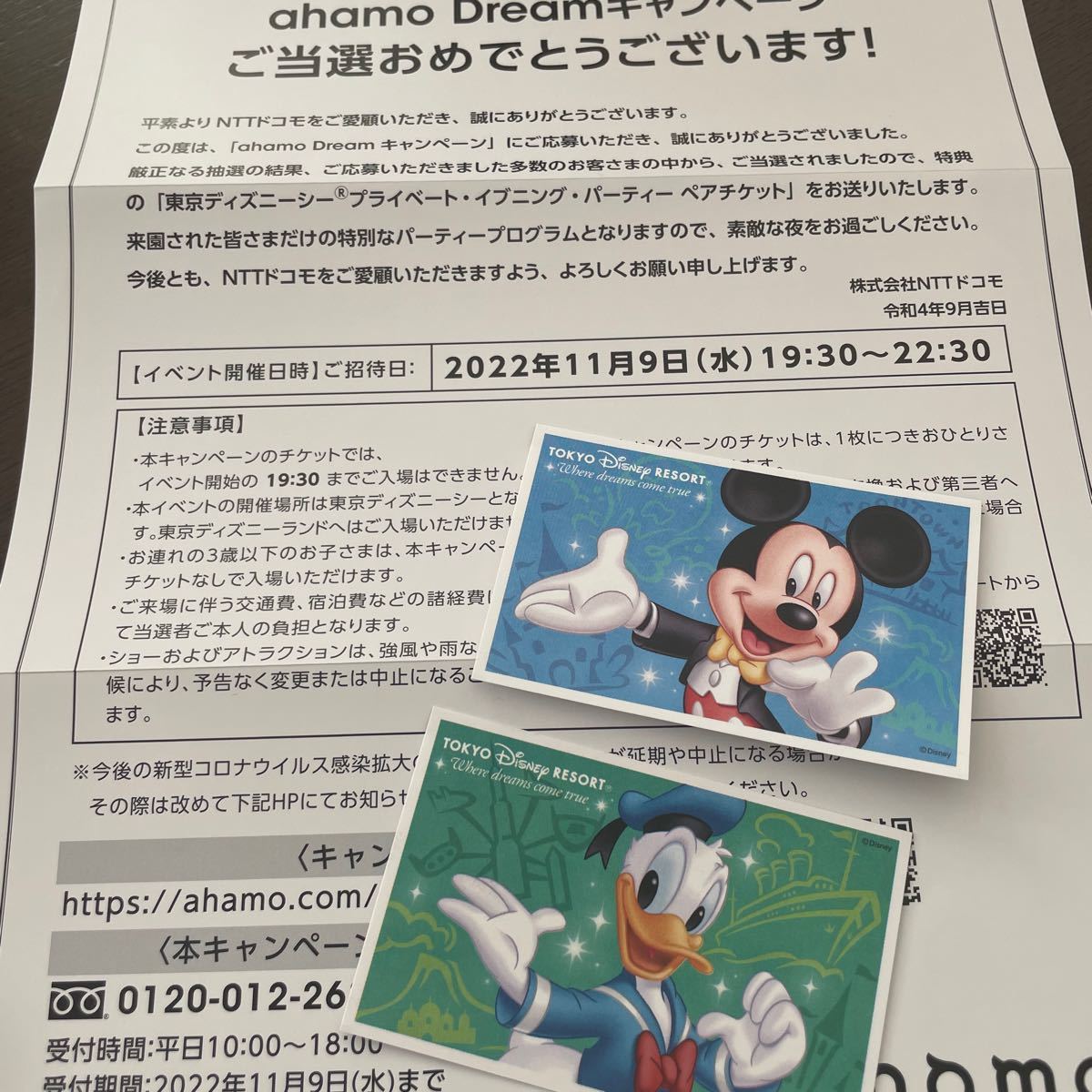 東京ディズニーリゾート ディズニーシー 東京ディズニーシー Ahamoドリームキャンペーンチケット Sensorlab Uwc Ac Za