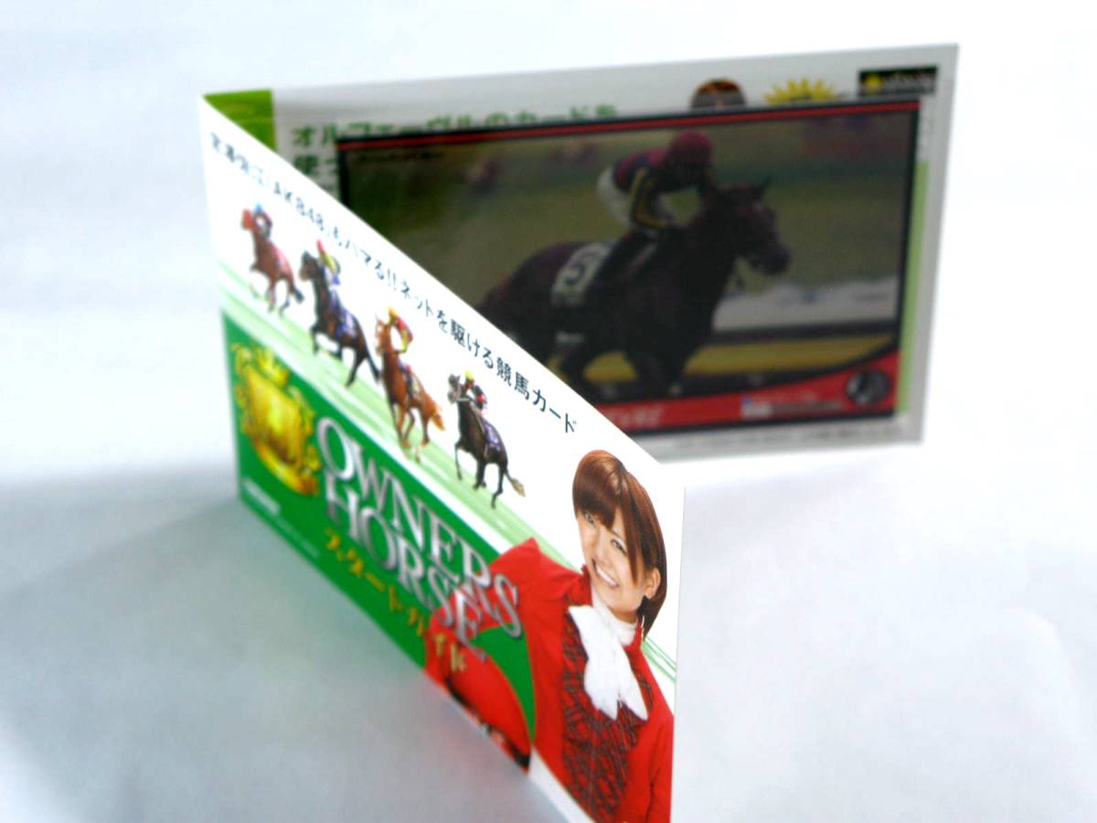 ★...★【...  старт  руководство   идет в комплекте 】OHPR-H005★ владелец  ... шланг   OWNERS HORSE★AKB48...★ не вскрытый  товар ★ карточка ★