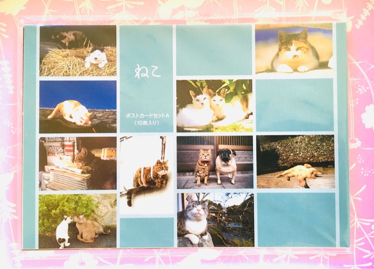 岩合光昭  『ねこ』　ポストカード　10枚セット　ネコ　猫　はがき　未開封