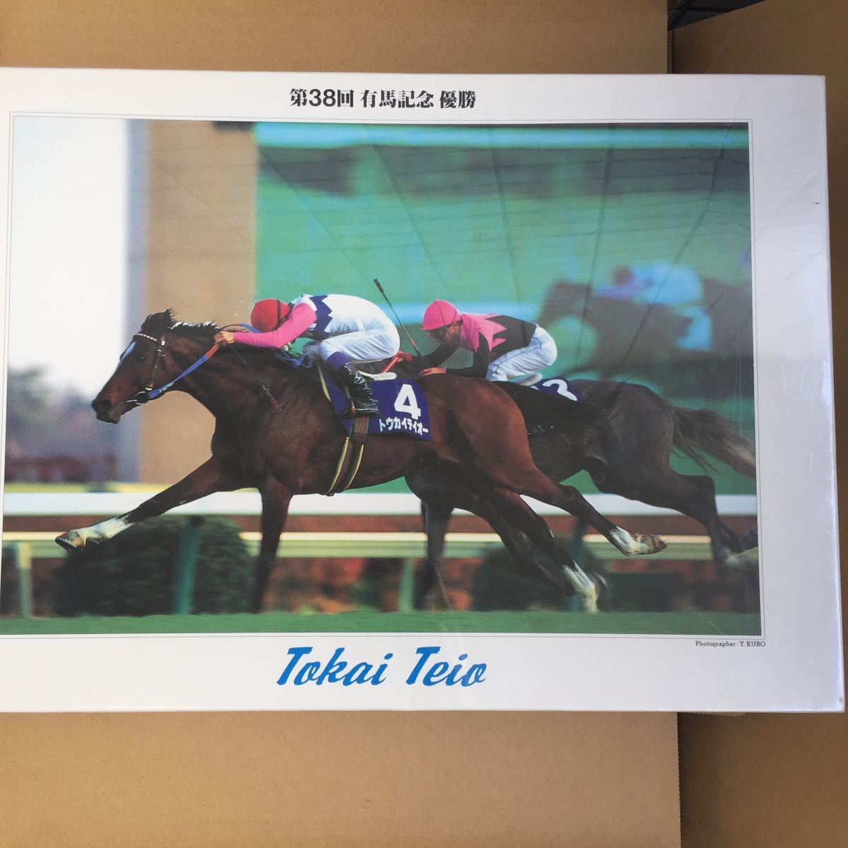 【未開封】 第38回 G1 有馬記念 優勝 トウカイテイオー TOKAI TEIO 競馬 馬 ジグソー パズル JIGSAW PUZZLE 1000ピース　1993