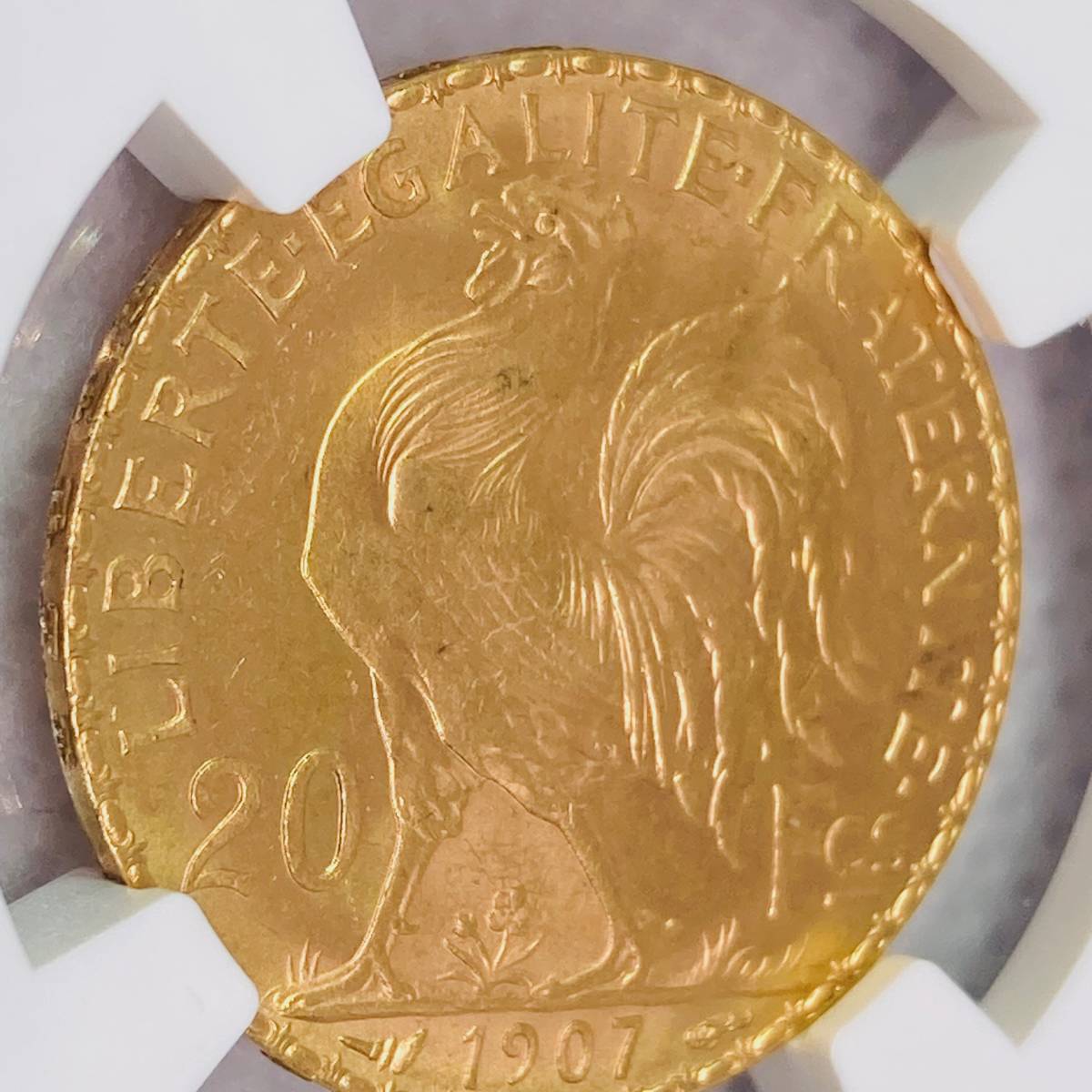 卓抜 フランス 1876年 MS65 エンジェル金貨 NGC sushitai.com.mx