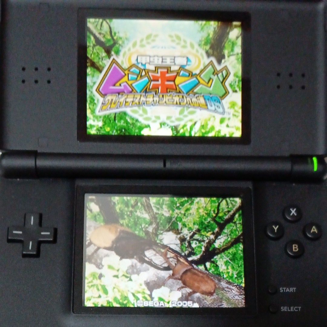 現金特価】 Nintendo DS Lite マリオレッド fawe.org