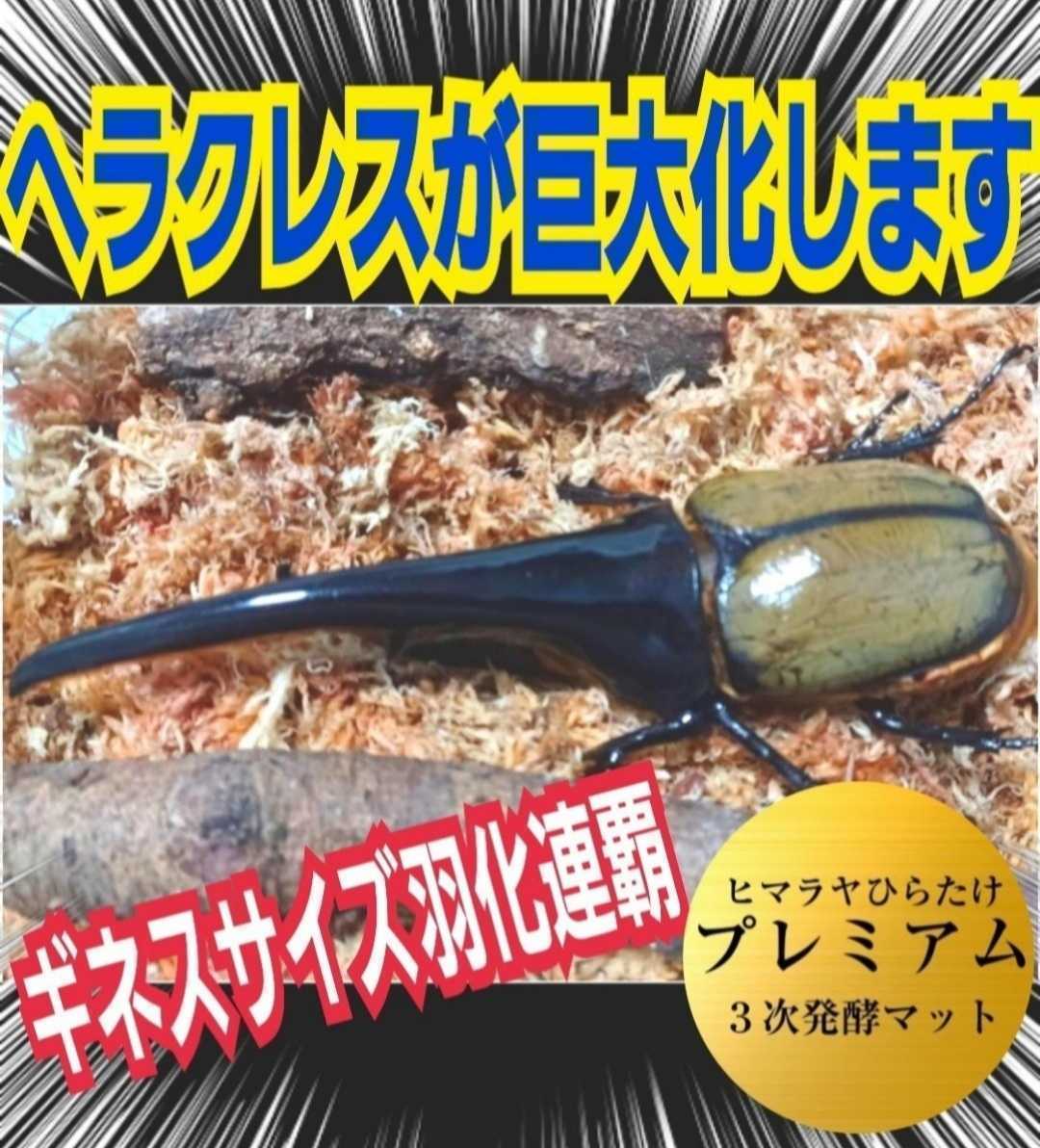 大人気!雑虫がわかない!完全室内製造!極上!プレミアム発酵