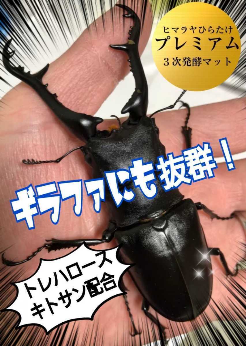 ノコギリクワガタにも抜群！進化した！プレミアム3次発酵マット☆栄養添加剤・共生バクテリア３倍配合☆産卵にも抜群！トレハロース増量！_画像5