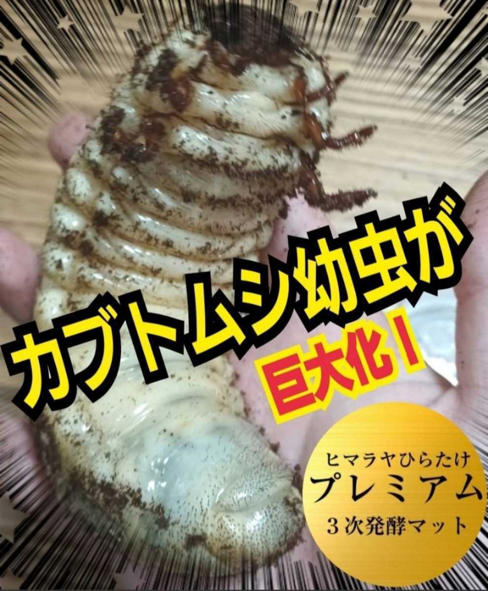 極上!プレミアム3次発酵カブトムシマット【3袋】特殊アミノ酸 極上!プレミアム3次発酵カブトムシマット【3袋】特殊アミノ酸
