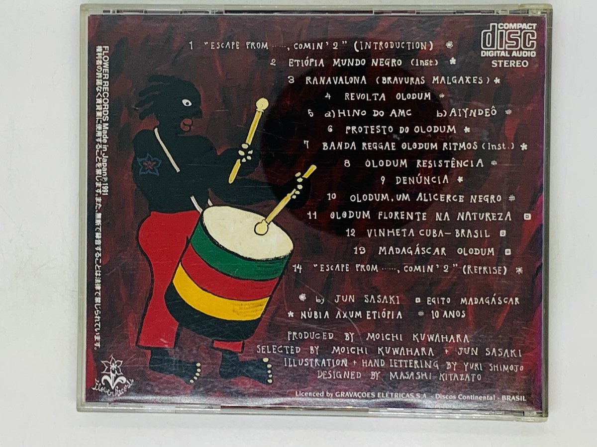 即決CD OLODUM FLORENTE NA NATUREZA オロドゥン ブラジル音楽 アルバム Z05_画像2