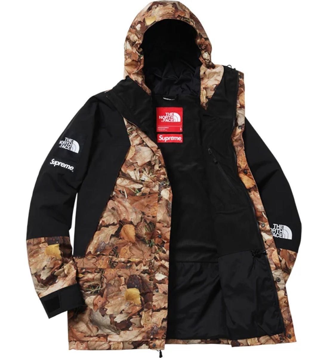 Supreme The North Face Mountain Light Jacket AW leaf L