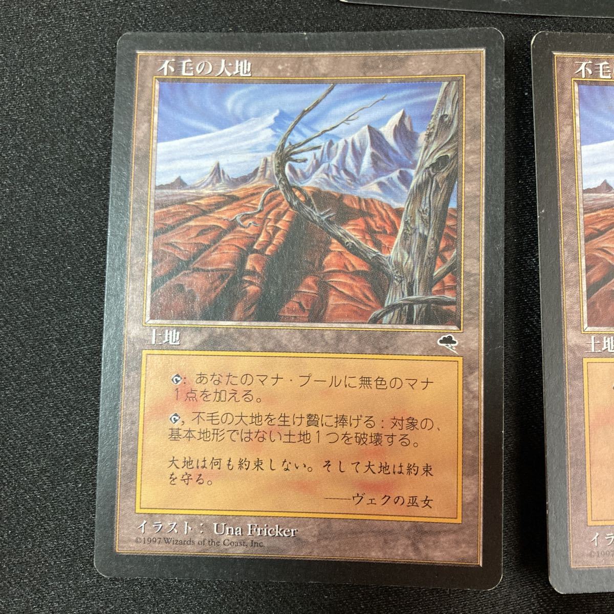 【1円スタート】 MTG 不毛の大地 Wasteland テンペスト　マジックザギャザリング　日本語版　3枚セット　1スタ　トレーディングカード　_画像3