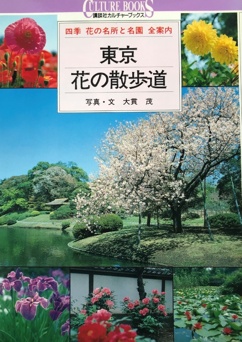 東京・花の散歩道―四季 花の名所と名園全案内 (講談社カルチャーブックス) 茂, 大貫_画像1