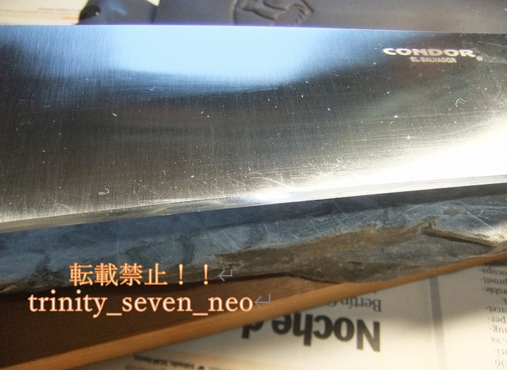 CONDOR 「Ironpath Bolo」大型山刀。刃渡り252ｍｍ[1075カーボン] 35度本刃付済。天然石使用。新品_画像6