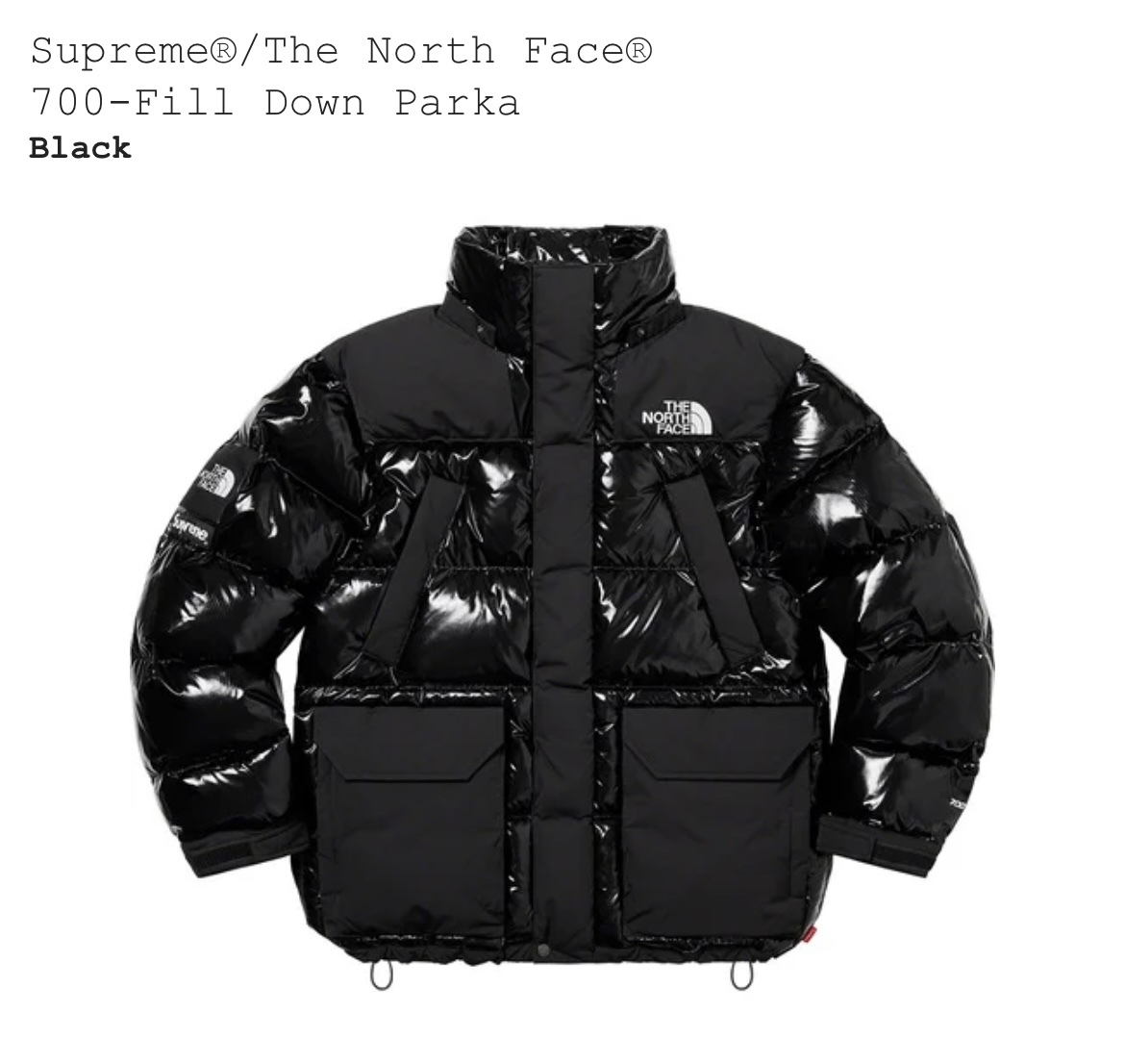 Supreme The North Face 700-Fill Down Parka M シュプリーム ザ