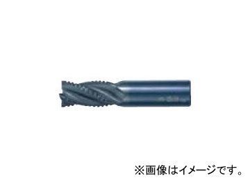ナチ/NACHI 不二越 ヘビー 10mm 4HV10