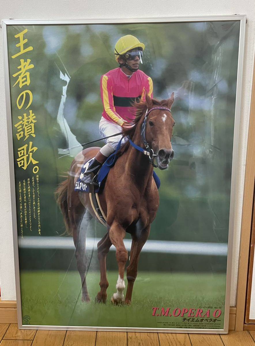 人気満点 ヒーロ列伝 テイエムオペラオー fawe.org