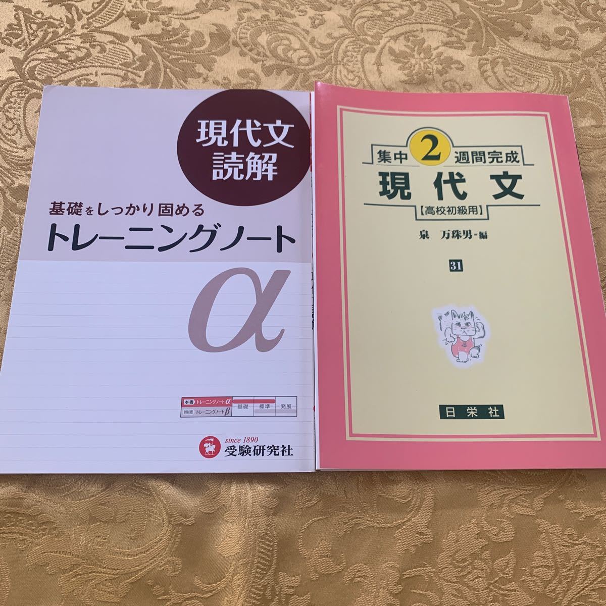 集中2週間完成 現代文　高校初級用／現代文読解 基礎をしっかりと固めるトレーニングノート